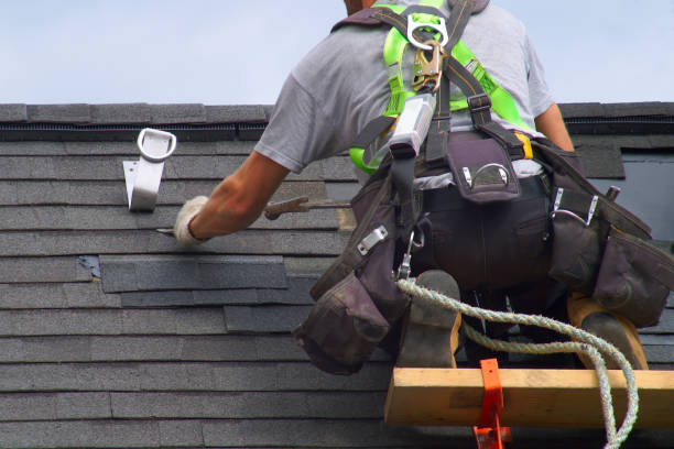 Best Insulated Siding Installation  in Watsessing, NJ