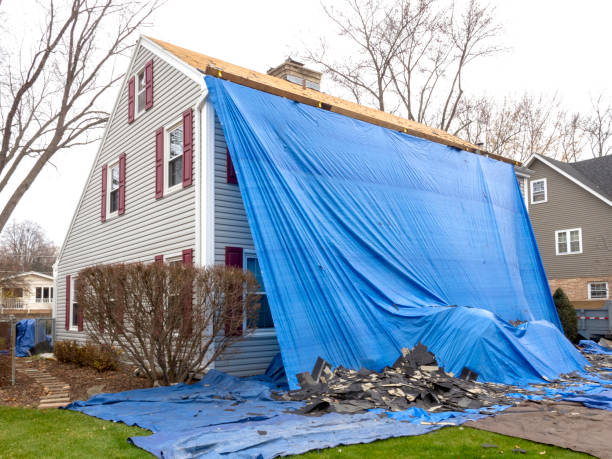 Best Stone Veneer Siding  in Watsessing, NJ