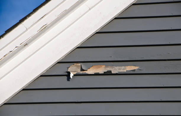 Siding for New Construction in Watsessing, NJ